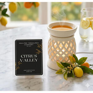 Citrus Valley Handmade Premium Wax Melts - 6 melts - Strong Scent Orange